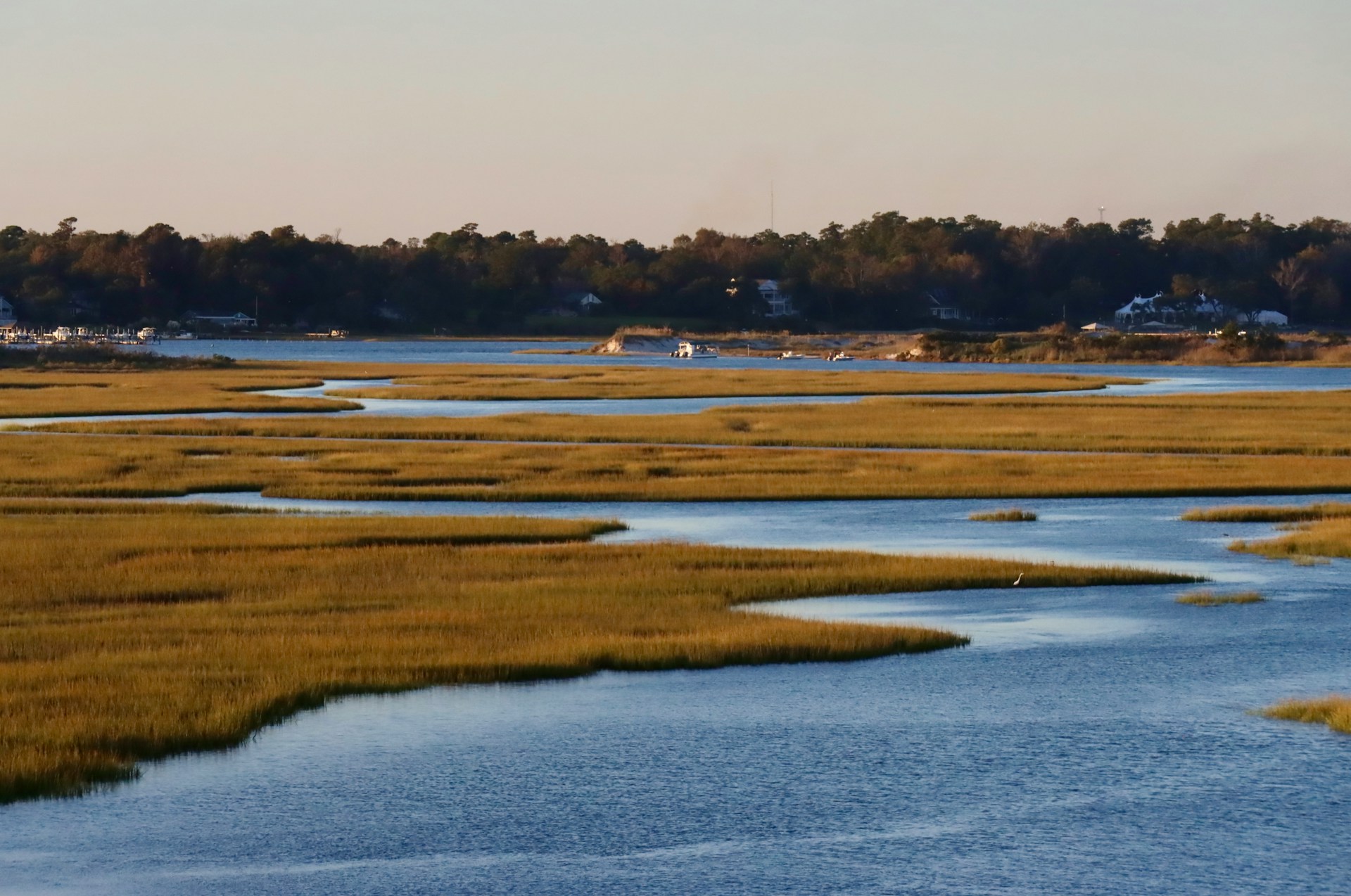 Golden salt-marsh grasses winding between tidal channels with a small coastal Georgia community across the water at soft evening light